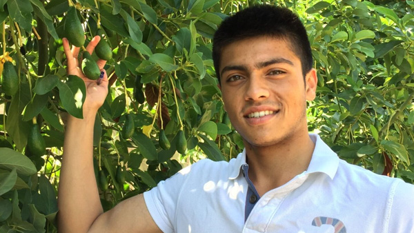 Know success story of Harshit Godha who running Indoisreal Avacado Farming