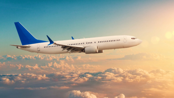 Flight passengers should be aware of such robbers