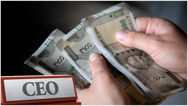 Who are the highest paid CEOs in the country