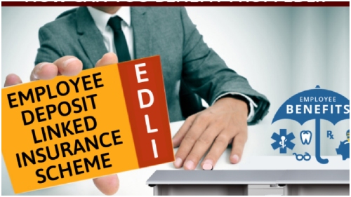 PF customers can get insurance up to Rs 7 lakh without paying premium The scheme is called Employees Deposit Linked Insurance EDLI scheme