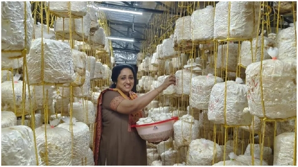 Know success story of Kerala couple started mushroom farming in balcony earning 90 lakhs