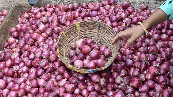 Amid Onion Shortage center released buffer stock selling with nafed 35 rupees per Kg
