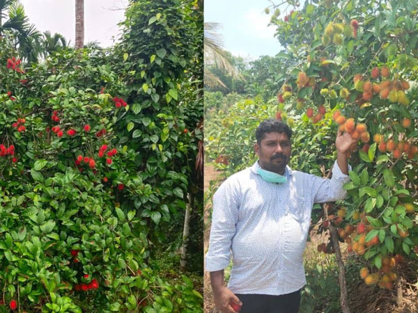 Know success story of Karnataka Farmer Lohit Setty earning crores inspiring many