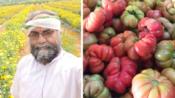 Meet Man From Andhra Pradesh Who Has Preserved 3600 Varieties of Indigenous Seeds in his farm land and house