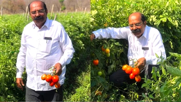 Know success story of farmer Madhusudan Dhakad earning 5 crores a year cultivating 200 acres