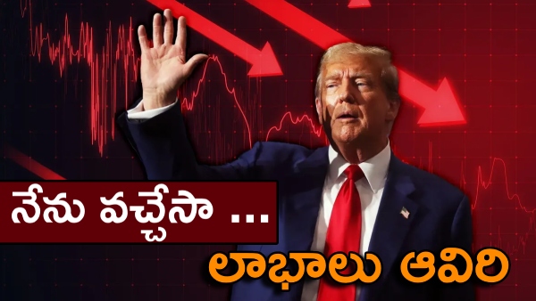 Indian stock markets saw profits pull back after Trump victory rally Know reasons for fall