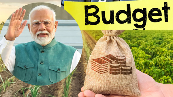 Amid Union Budget 2025 Experts suggest Income Tax rate Cuts to PM Modi Know details