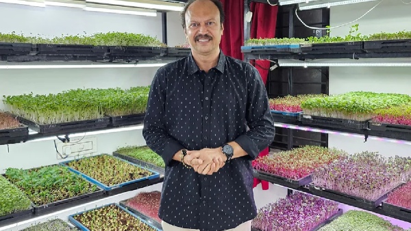 Quited bank job and become a millionaire in microgreens now he is Earning Rs 5 lakh per month