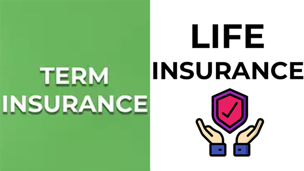Term insurance or life insurance Which one is more beneficial Everyone gets confused while taking decision