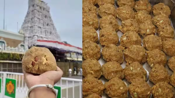 In 2024 Tirumala laddu row of using adulterated ghee sparked heat politically and from devotees too