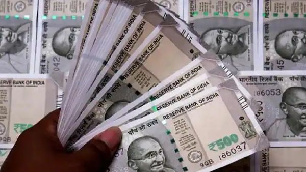 Business Ideas this boy started a business with Rs 2 lakhs savings money now earning Rs 4 thousand every day