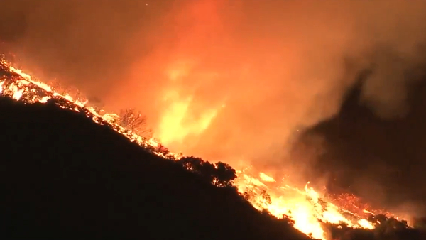 Wild fire spreading in los angeles causing 150 billion dollar loss Know details