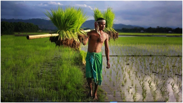 Telangana Government planning to disburse Rythu Bharosa funds to farmers after Sankranthi