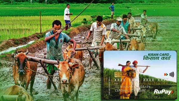 Farmers expecting Kisan Credit Card limit be increased to 5 lakhs in Union Budget 2025