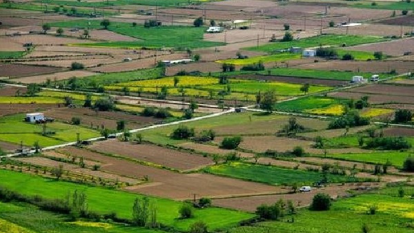 Bengaluru real estate Heres what you should know if you are planning to buy a residential plot in the IT city