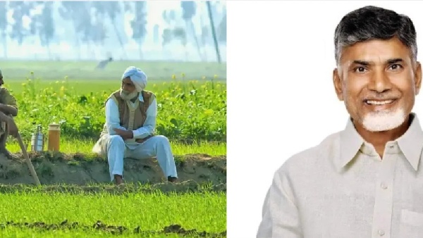 annadata sukhibava scheme update after sankranthi 20thousand credited directly into farmers account says ap government