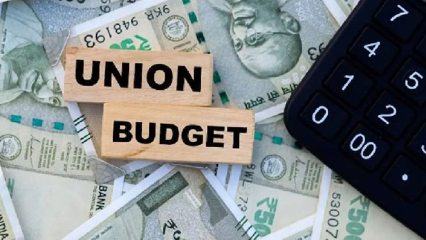 Budget 2025 What is the Economic Survey which was presented before the budget know in detail