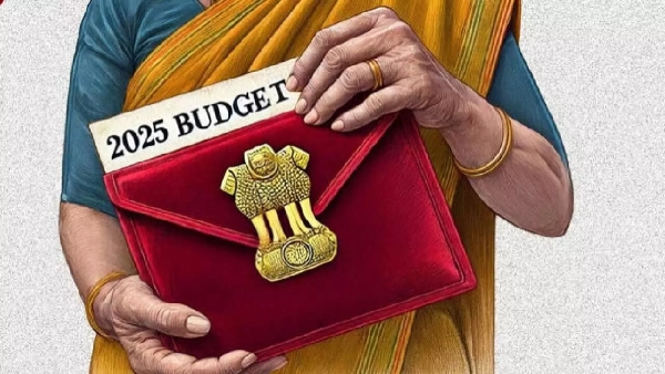 Union Budget 2025 Income tax slab duty on gold standard deduction and 80C limit these expectations from budget