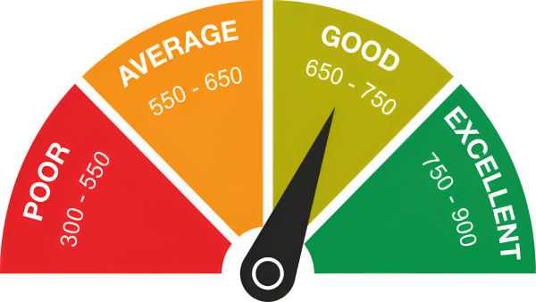 just One year Do this to improve your credit score 300 to 800 check this plan