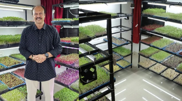 Know success story of Kerala s Ajay Gopinath left bank job earning 3 5 lakhs with micro greens farming