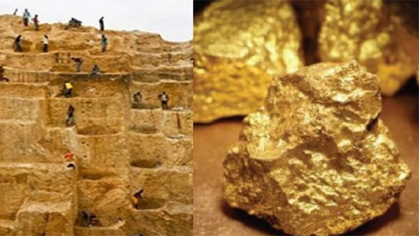 How much gold is produced in India every year by Indian Gold Mines Know which state is on top