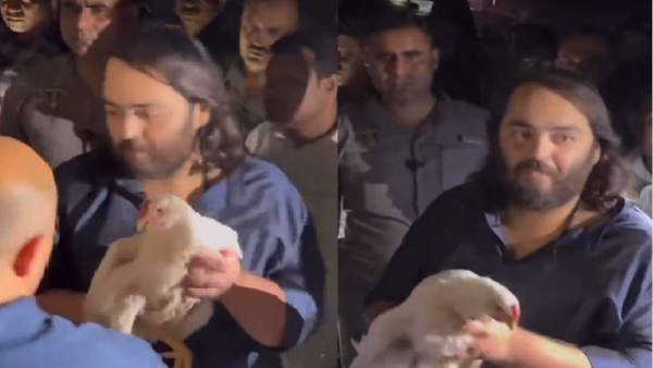 Anant Ambani padayatra anant buys hundreds of chickens by paying double price this video goes viral on social media