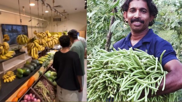 Kerala organic farming success Kerala to Dubai export story organic vegetable business Indian farmer success story Kerala entrepreneur UAE market Rs 2 crore farming business Indian exports to Dubai organic vegetables export Kerala agribusiness startup story Kerala farmer India UAE agriculture trade green business success 2 success Story success Storys Kerala success Story vegetable farmer success Story Bijesh Krishna Bijesh Krishna Farmer
