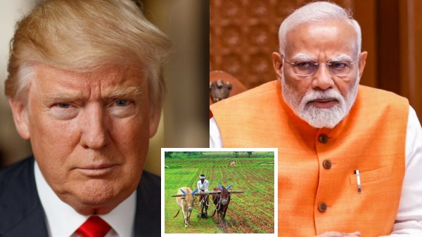 India US trade deal agricultural imports tariff dispute low-duty farm products India US relations trade negotiations genetically modified food farm subsidies Indian farmers trade policy import duties US India trade tensions bilateral trade talks protectionism US agri exports