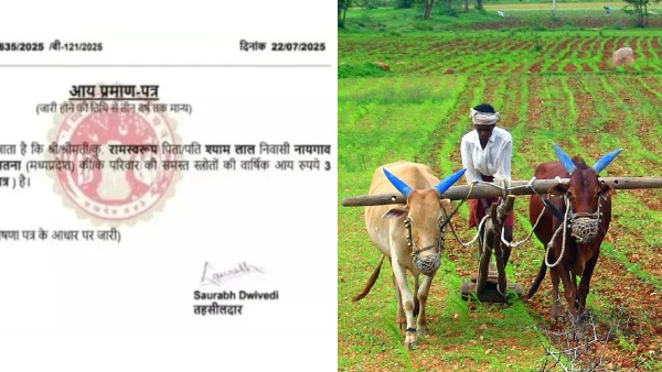 MP farmer salary RS 3 income viral news 25 paise per month Indian farmer income Digital India glitch MP government wage error farmer injustice India viral farmer income rural income crisis India 3