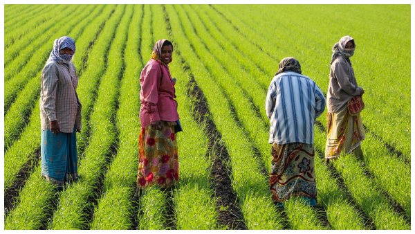 Pradhan Mantri Dhan-Dhanya Krishi Yojana PMDDY Modi government Union Cabinet farmer welfare agricultural development rural employment Atmanirbhar Bharat crop yield credit facilities agricultural infrastructure central schemes state schemes private partnerships monitoring committees NITI Aayog digital dashboard value-added products sustainable agriculture natural farming logistics direct benefit storage facilities water resources -