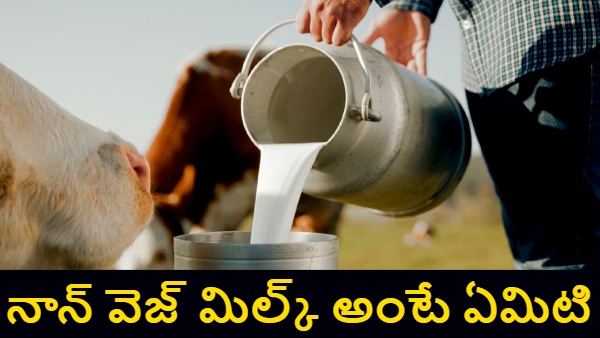 Non-veg milk India US trade deal dairy imports controversy rennet in milk vegetarian milk debate US dairy products India cultural trade barriers India US dairy talks animal rennet issue non-veg milk explained - - - - vs