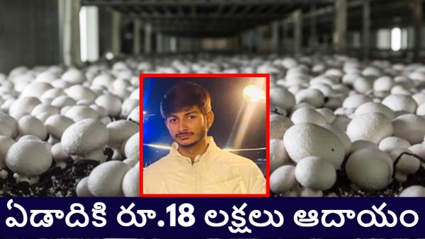 Mushroom Farming mushroom farming success story teen entrepreneur India young farmer earns 18 lakh profitable mushroom farming youth startup in agriculture schoolboy mushroom business mushroom cultivation India organic farming ideas agribusiness success teenage farmer story small scale farming profits Indian rural entrepreneurship mushroom farming income 18 Prabhu Ranjan school boy Bihar Gaya School Boy School Boy Turned Mushroom Farmer Prabhu Ranjan