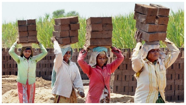 PLFS 2025 - India Unemployment PLFS July 2025 Job Opportunities Labour Force Participation Female Workforce Rate Rural-Urban Disparity Workforce Participation Youth Employment Economic Activity