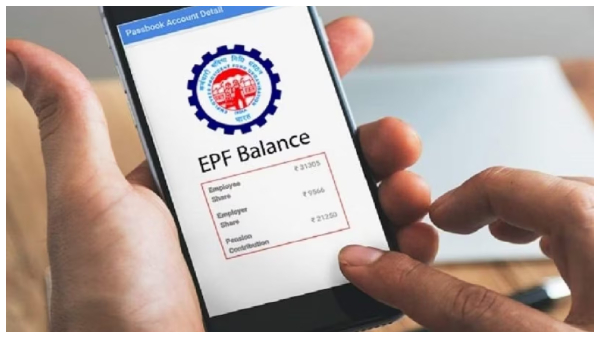 Wondering If Your Company Is Depositing PF Here s How to Find Out Instantly