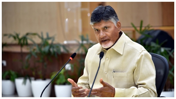 AP Women Top DWCRA Bank Deposits Collected a Whopping Rs 20 739 Crore