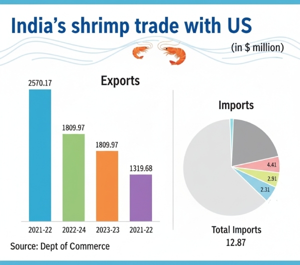 Trump tariffs shrimp Andhra Pradesh shrimp farmers US import duty shrimp India shrimp exports aquaculture crisis AP Trump trade war India shrimp prices fall prawn exports Andhra seafood industry India US tariffs impact aquaculture US