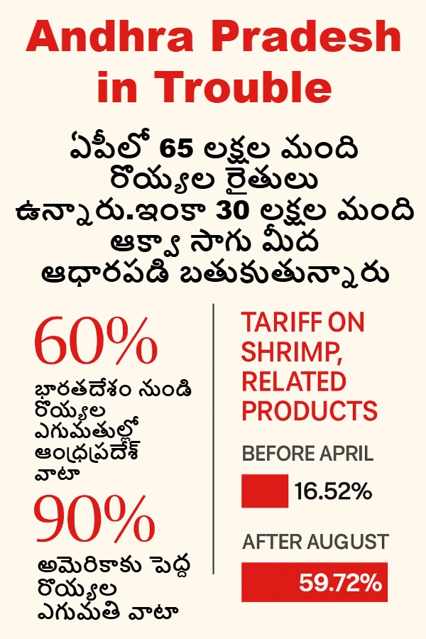 Trump tariffs shrimp Andhra Pradesh shrimp farmers US import duty shrimp India shrimp exports aquaculture crisis AP Trump trade war India shrimp prices fall prawn exports Andhra seafood industry India US tariffs impact aquaculture US
