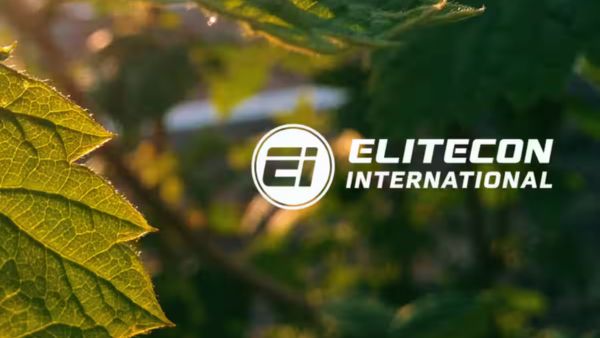 elitecon international multibagger small cap stock hits upper circuit 850 percent ytd return 500 crore borrowing plan details