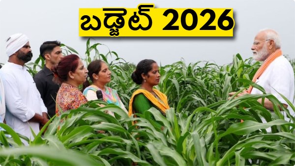 Budget 2026 Union Budget 2026 agriculture budget 2026 agriculture stocks agri stocks India PM-KISAN scheme PM-KISAN budget allocation Seed Law reforms Indian seed law farm sector reforms agriculture policy India agri input companies fertilizer stocks seed companies India agri stocks to watch budget impact on agriculture stocks rural economy India farmer welfare schemes agri sector growth agriculture investment India 2026 2026 2026 - -