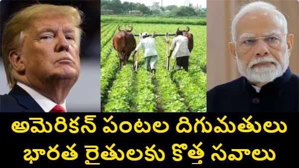 India US trade deal India US trade agreement India US agricultural trade agri exporters India US seafood exporters India US Indian farmers protest trade deal US crop imports India India US farm trade impact agriculture trade India US India US tariff talks Indian agriculture imports US India US trade negotiations farmers concerns US imports agri trade policy India US