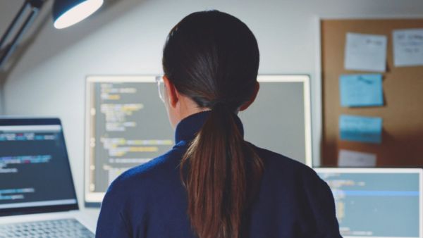 Bengaluru CA Meenal Goel Success Story Middle Class Resilience And Career Growth Lessons Summary