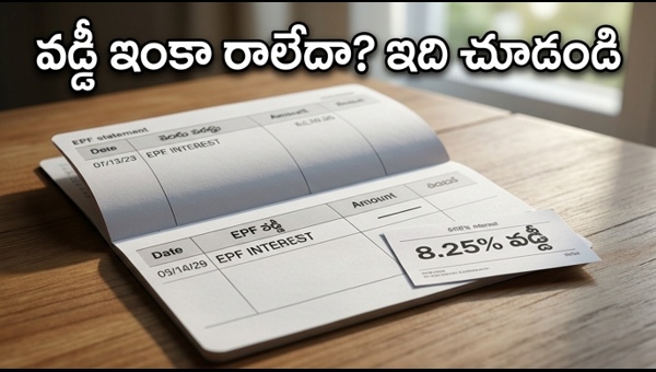 EPF Interest Credit Status 2025-26: How to Check Your PF Balance Online