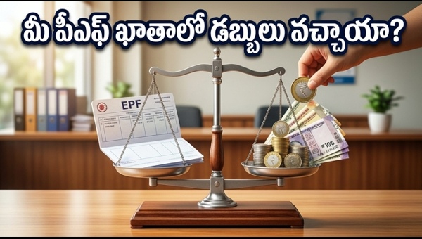 EPF Interest Rate 2026: Official Notification and How to Check Your PF Balance Online