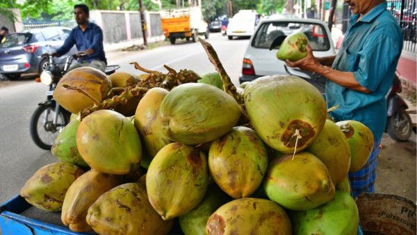 Bengaluru coconut water price 180 rupees per liter Hyderabad rates comparison summer 2026 updates