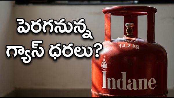 LPG Gas Cylinder Price Update May 2024: New Rates and Budget Planning Tips for Households and Businesses
