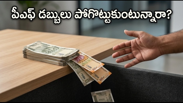 EPF Withdrawal Tax Rules: How to Avoid TDS Deductions and Save Your Retirement Savings Effectively