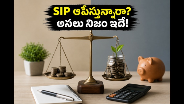 Indian Stock Market SIP Investments: Record Growth and Investor Strategy for 2026
