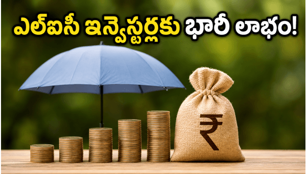 LIC Bonus Shares 1:1 Announced: What Q4 Results Mean for Investors in 2026