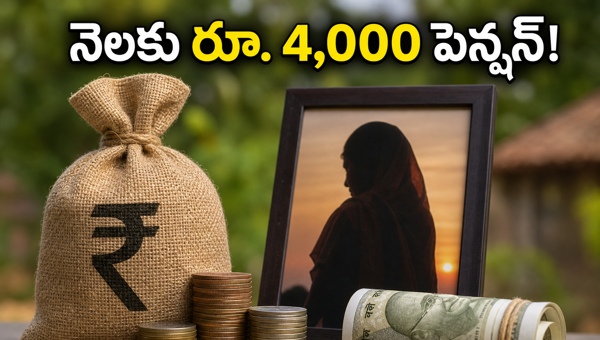 NTR Bharosa Widow Pension 2026: How to Apply, Eligibility & Documents Required for AP Women NTR Bharosa Widow Pension 2026: How to Apply, Eligibility & Documents Required for AP Women