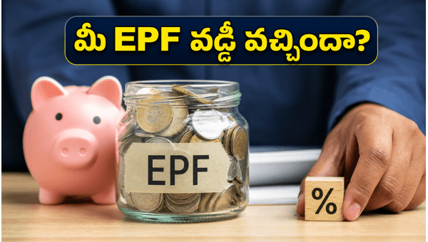 EPF 8.25% Interest Credit Status 2026: How to Check Your Provident Fund Balance and Resolve Delays Online